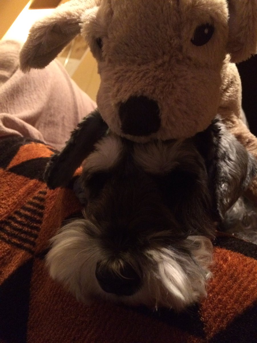 texture_hiro's tweet image. お疲れ様です。

amazon.co.jp/dp/B01LXHQKP7