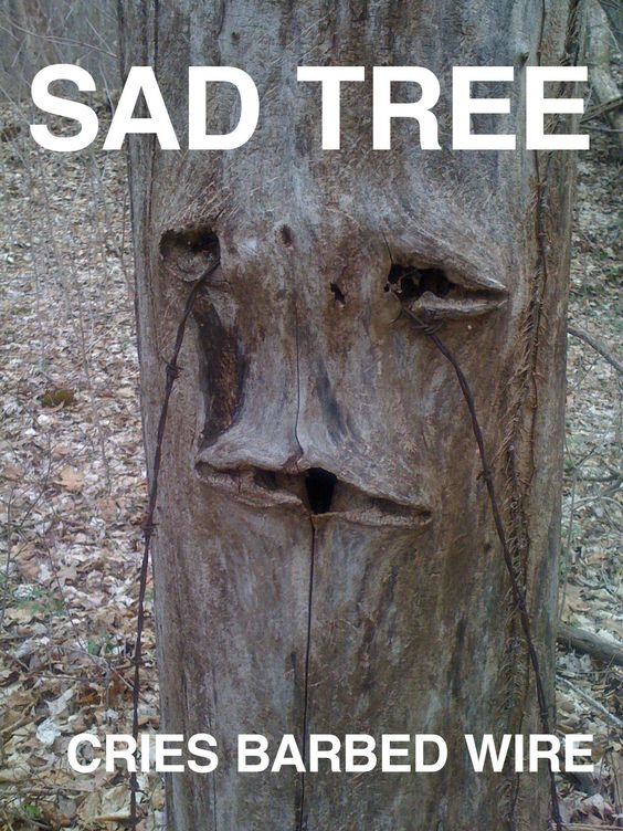 Arlene_the_Tree's tweet photo. Is a very sad day my people pals have lost their way.  Still #ImWithHer because we are #StrongerTogether #TreeSpeech @BeatriceTheTree https://t.co/Zjlx6u8SJM