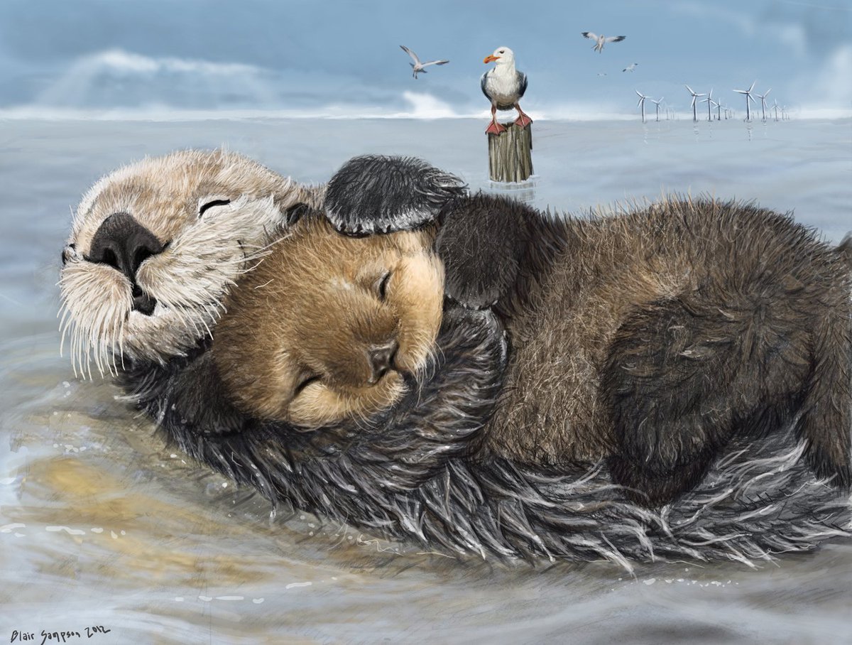 innocent's tweet image. Gentle reminder for everyone that sometimes otters like to hug other otters.