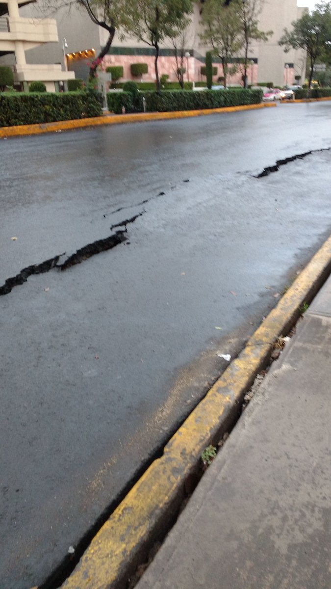 Marco Campillo tweet media