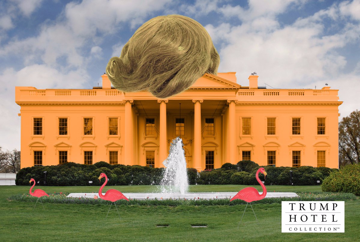 Megan Girdler tweet media