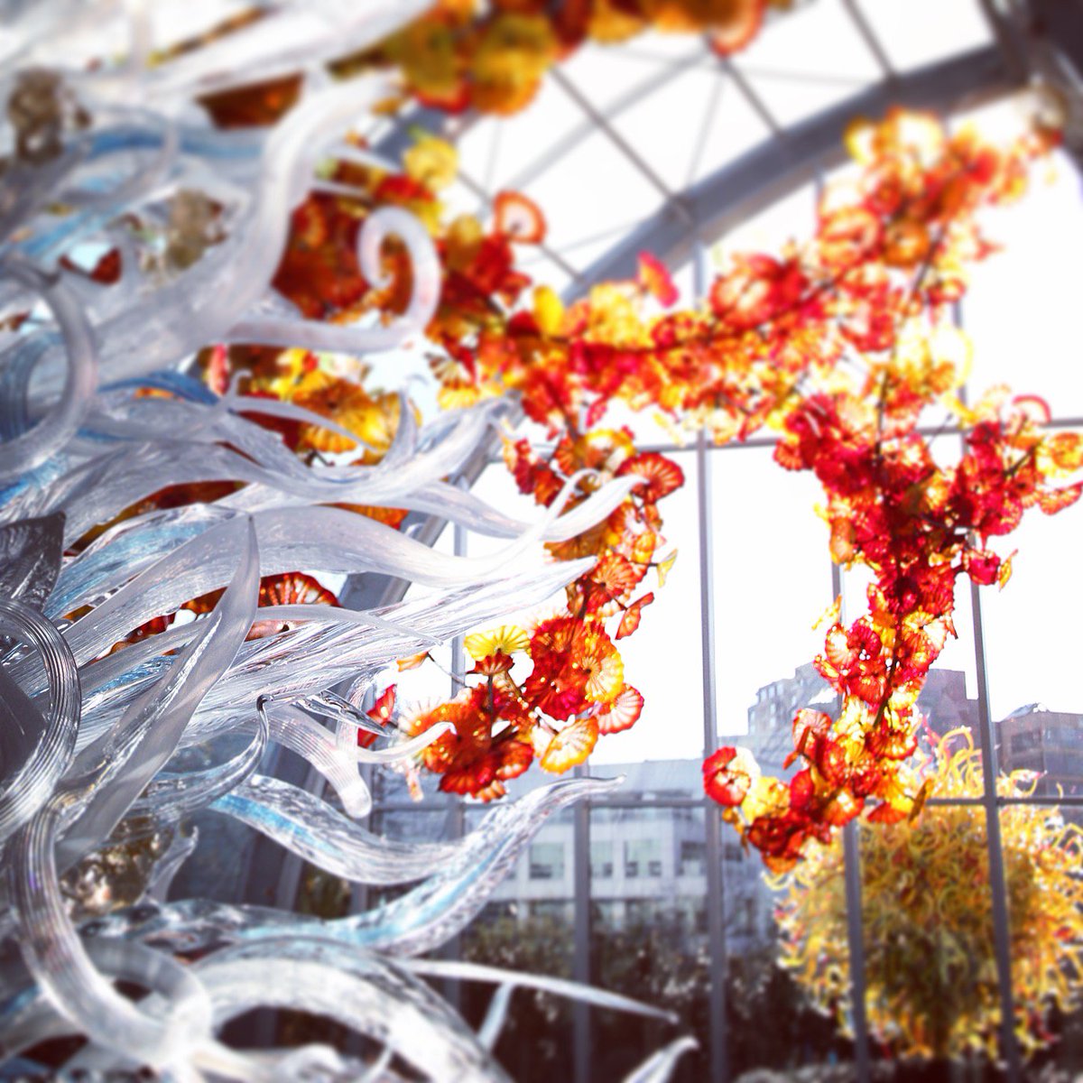 ChihulyGG's tweet photo. A bright snapshot on a grey day. #wintertower #temporaryinstallation #chihuly https://t.co/6YlNFwm37o