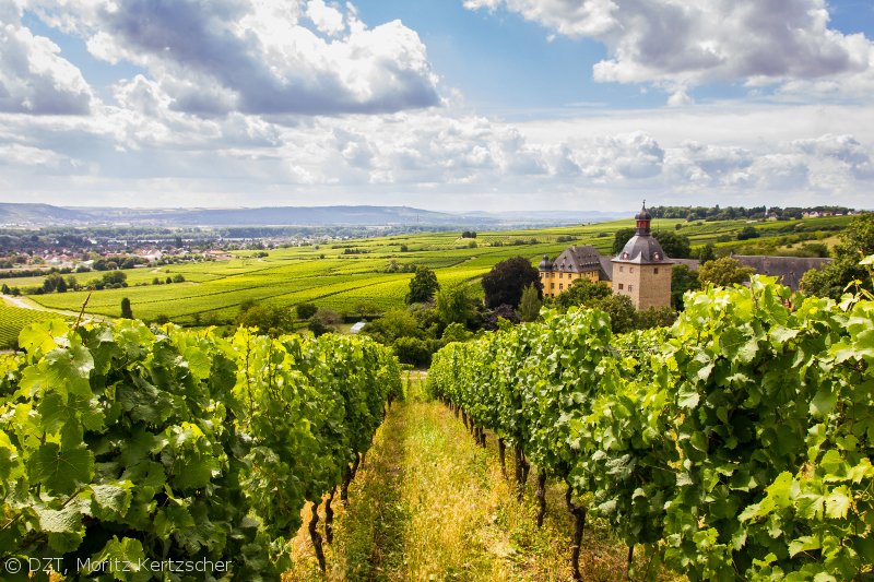 germanytravelNL's tweet image. Je kunt kiezen, er zijn 13 mooie wijngebieden in #Duitsland bit.ly/1Ny02XW #wijn