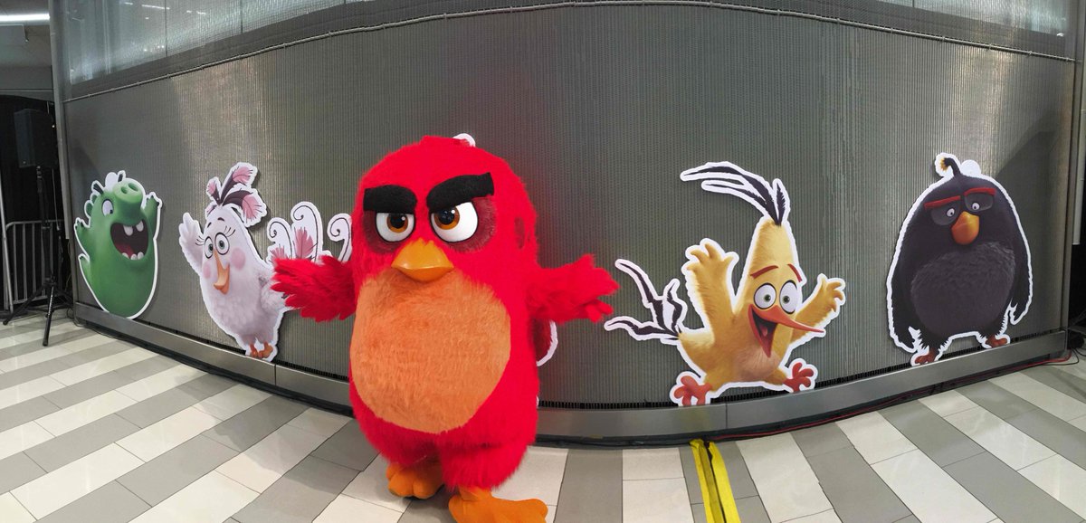 Extreme_MP's tweet photo. Can you name these Angry Bird characters? #angrybirds #costumecharacters #extrememp #extremeteam https://t.co/TDLHqV7VoM