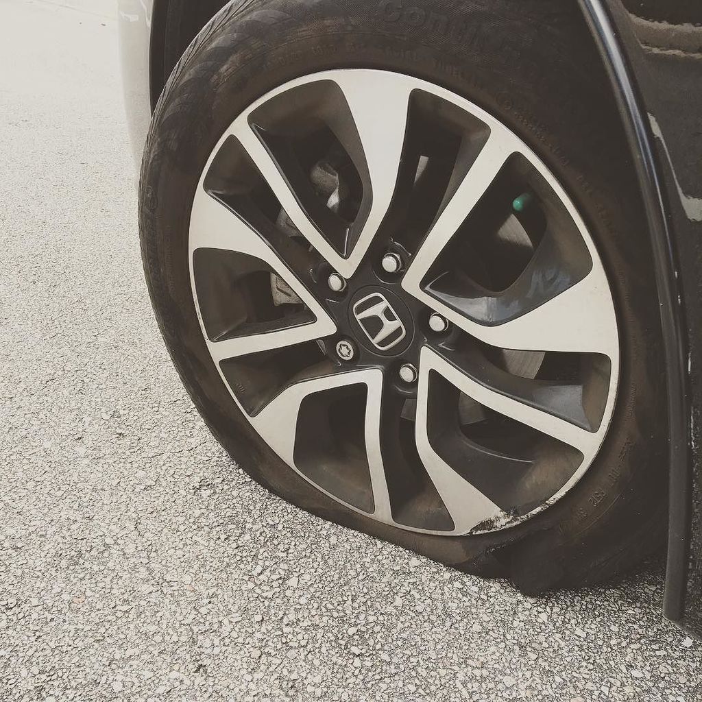 SovietSean's tweet image. Look at that beaut, just as im on my way to work 👏🏻😭 instagram.com/p/BMmalh9DE3zw…