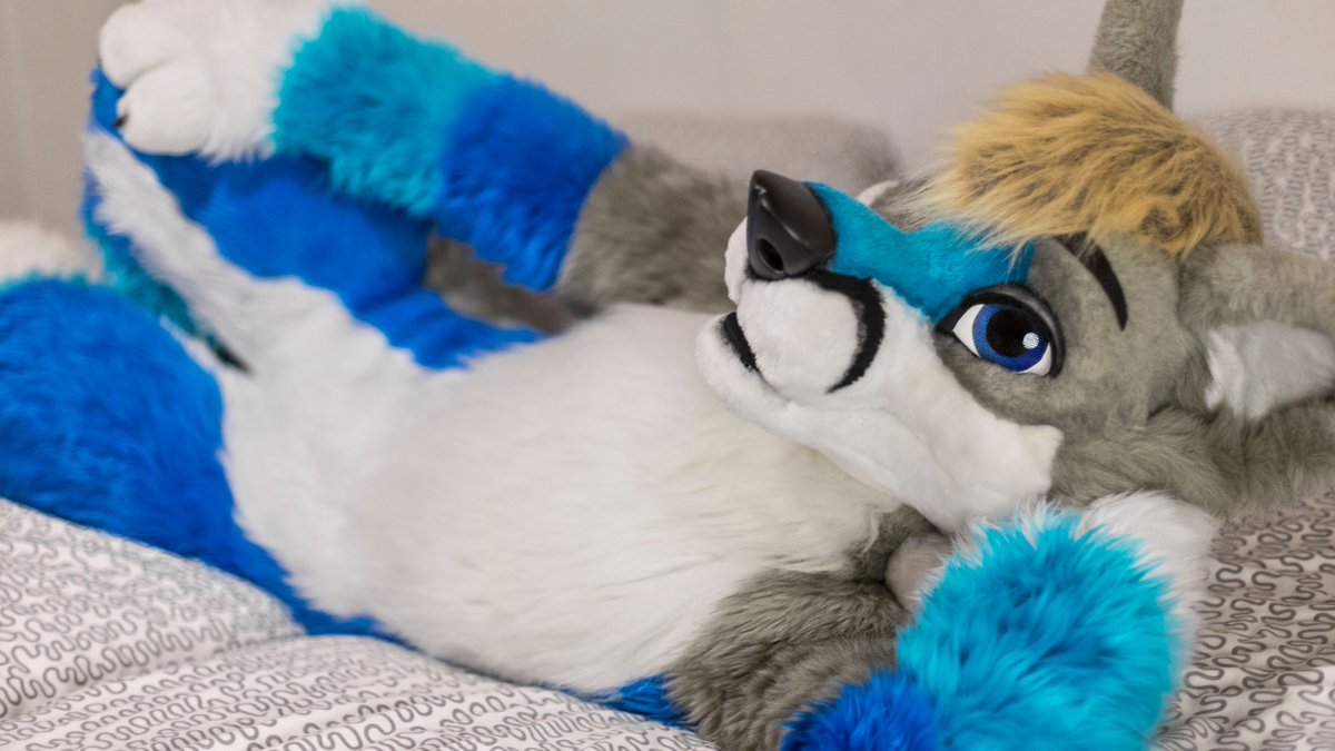 Flookie_Bailey tweet media