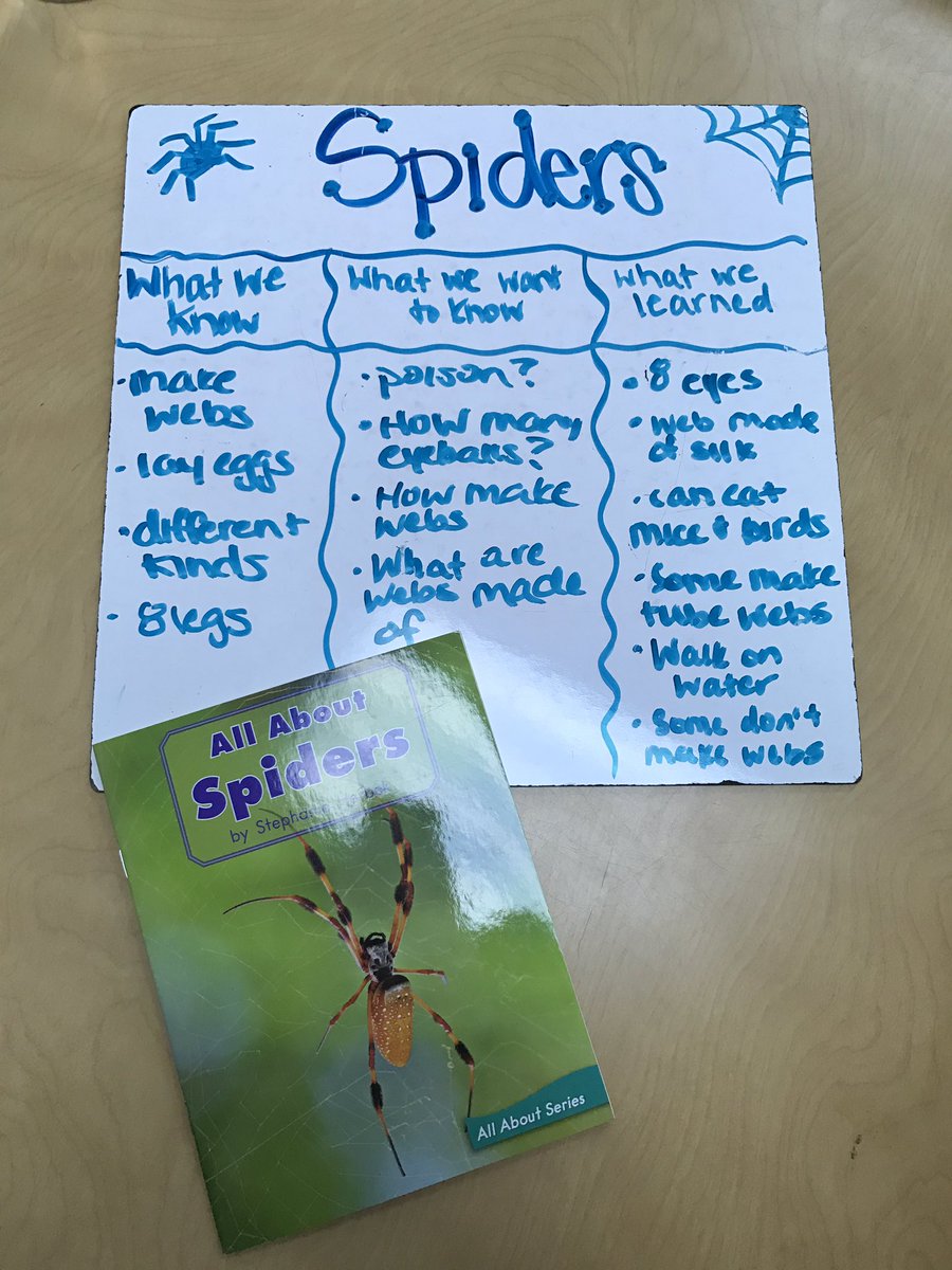 jessica dammen tweet media