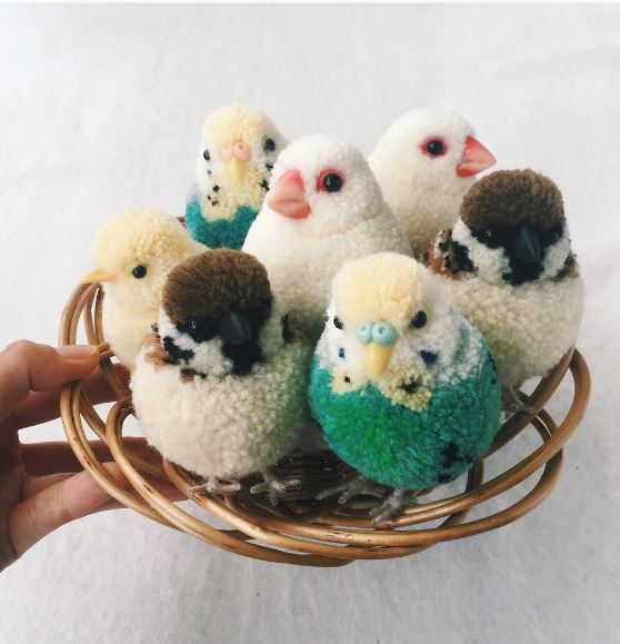 cosywool's tweet photo. Adorable alert! These pom-pom animals are tugging at our heart strings. 😍https://t.co/okL4g290uJ https://t.co/Bw7R02davY