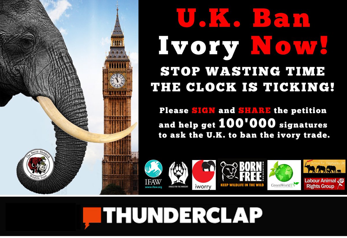 LabourAnimalRG's tweet photo. Please SUPPORT and RETWEET the Ban Ivory PETITION and THUNDERCLAP your voice matters!  #bantheukivorytrade  https://t.co/TKwbbKTblr https://t.co/0V8eEoYs7o