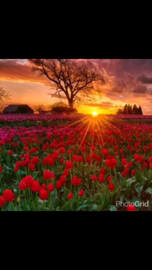 S,f,s (@so83128370so) on Twitter photo 