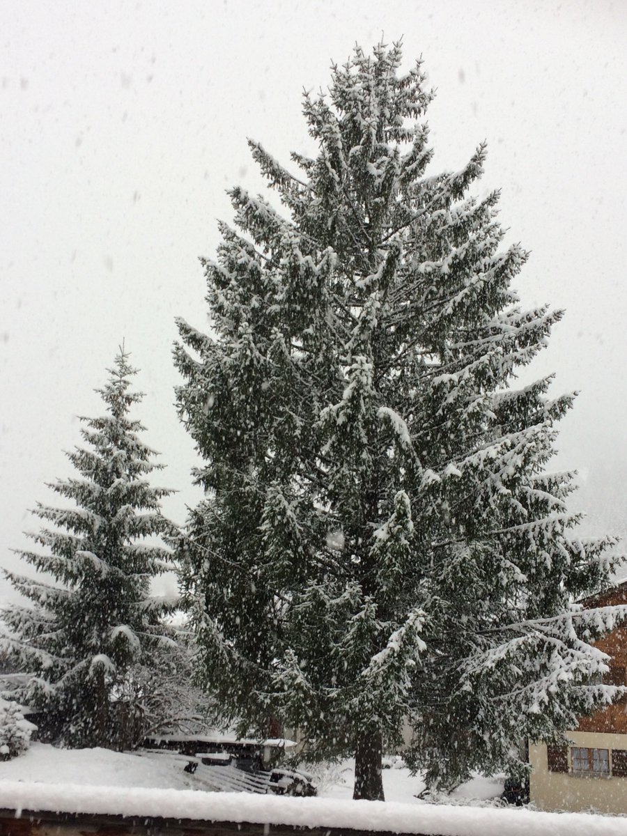 Let it snow, let it snow, let it snow