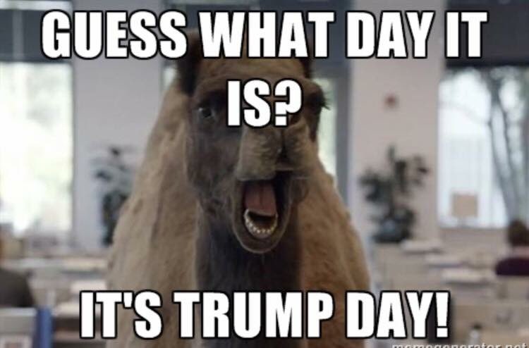 #moveovercamel #todayistrumpday #trumpwins <a href="/EricTrump/">Eric Trump</a> <a href="/SurvivedANarc/">Survivedanarc</a> @TheFlash106 #guesswhatdayitis #ohhappydayforAmerica #americaspoke