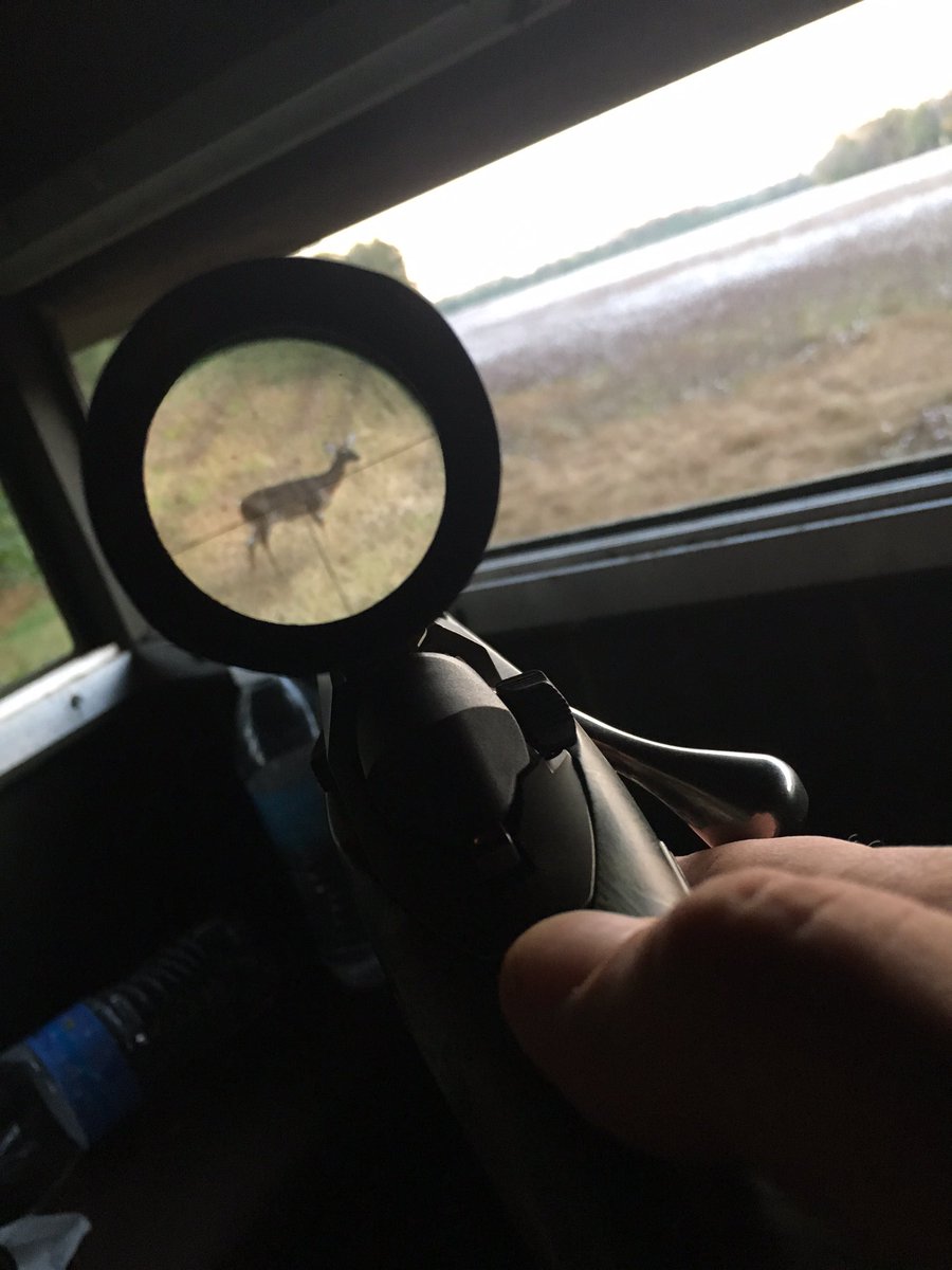 Provisional Sports tweet media