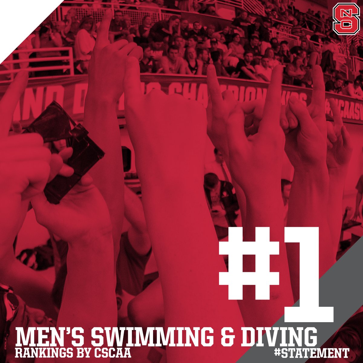 NC State Swimming & Diving tweet media