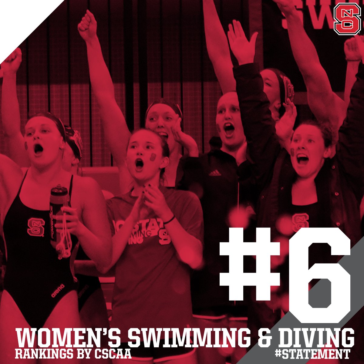 NC State Swimming & Diving tweet media