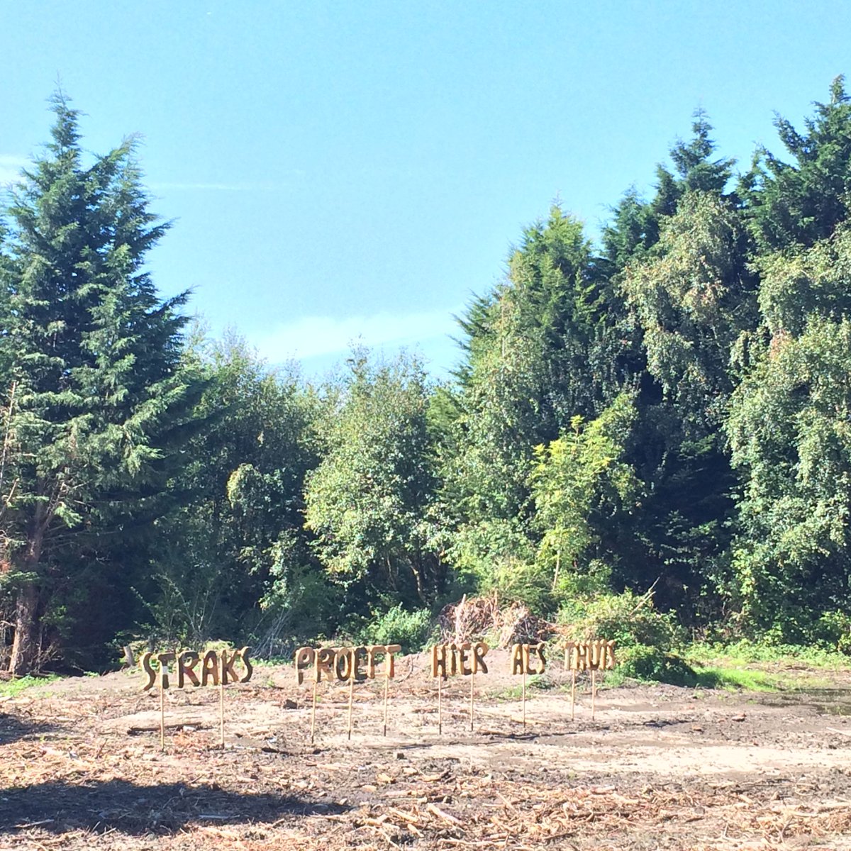 De jury heeft vier winnende visies in Open Oproep Proeftuin Erasmusveld Den Haag geselecteerd: architectenweb.nl/n39944