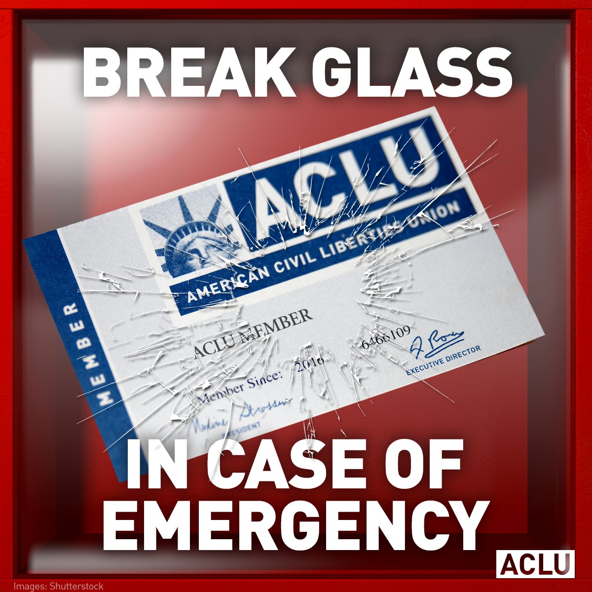 ACLU's tweet image. The ACLU is here and we are fighting. We need you fighting with us. aclu.org/action