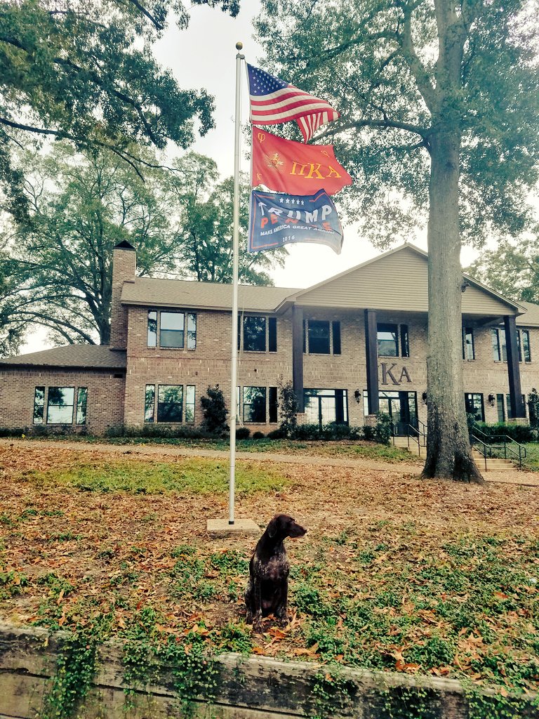 Trying to make America Great Again one day at a time. #TrumpTrain #pike #LATech <a href="/LATech_SVO/">LA Tech SVO</a> <a href="/LaTechReport/">LaTechReport</a>