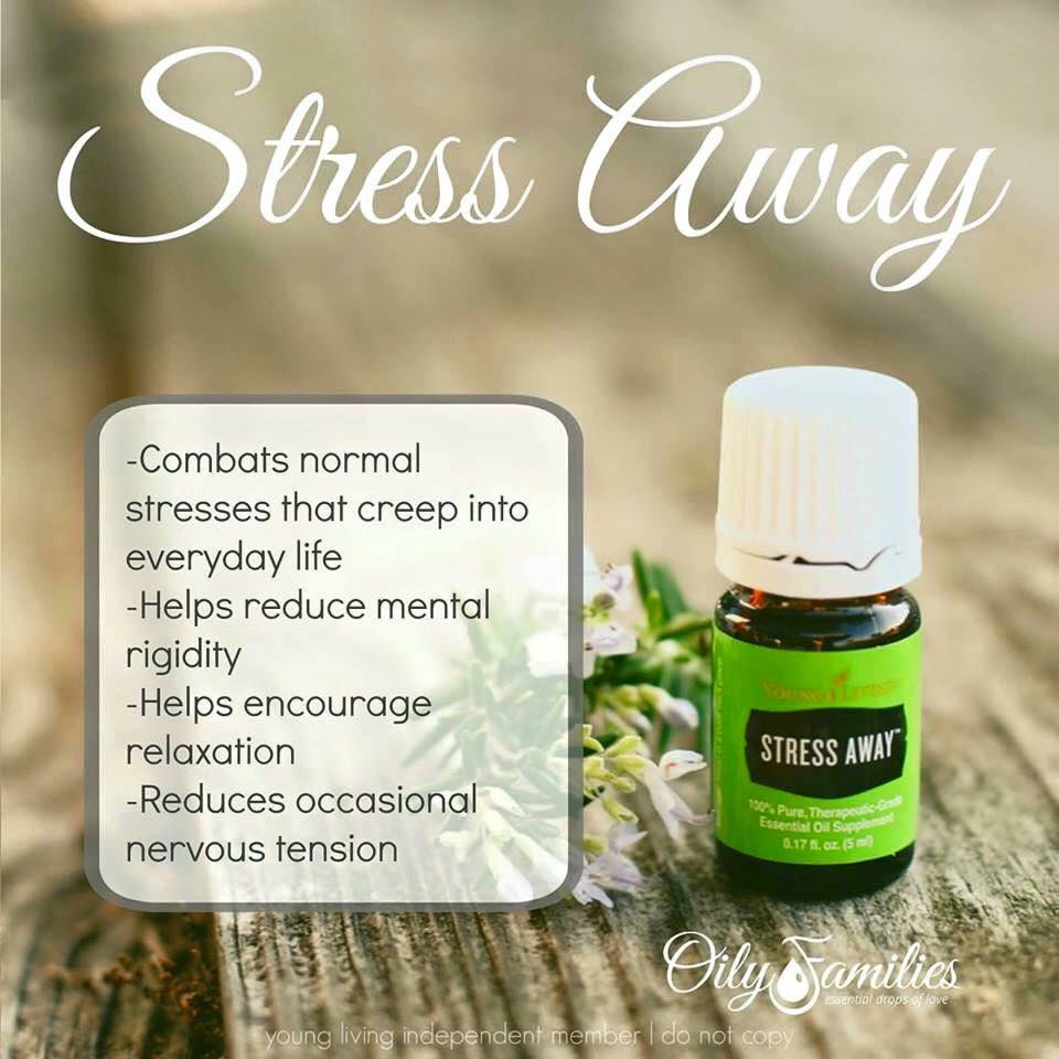 FruitBatBeauty's tweet photo. Is everyone OK this day after the Election? No matter who won, we all must go on. If anyone needs assistance #IveGotAnOilForYou #yleo https://t.co/xftBvBpuFj