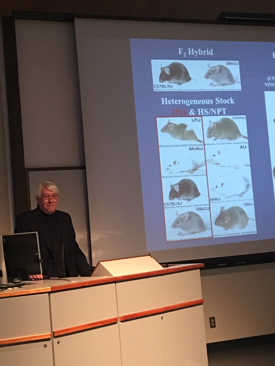 Symposium honoring work of the late @catch22alex #complextraits #networks presented by @OHSUNews faculty Bob Hitzemann