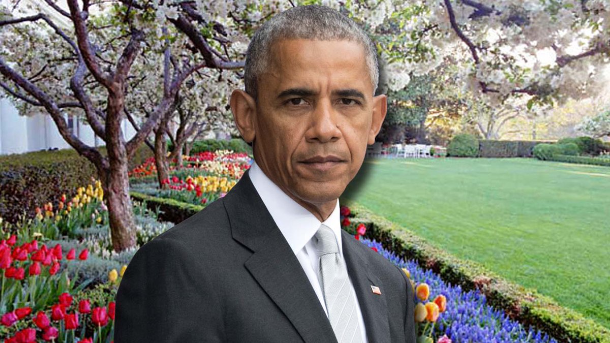 WATCH LIVE President #Obama delivers address to nation following presidential election bit.ly/2fZE08S?utm_me… https://t.co/67XWgzzQoH