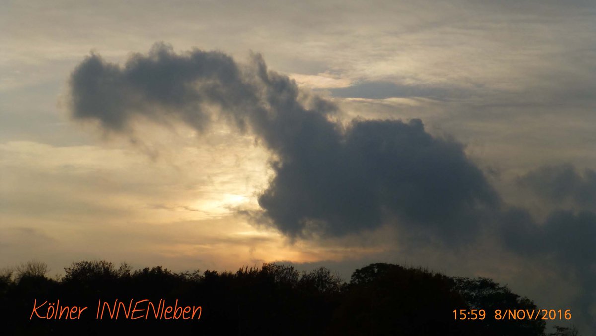 Westwärts zeichnete es sich gestern schon am Kölner Himmel ab:
Männliche Machtergreifung....
#365koeln #thisiscologne #schlimmergehtskaum