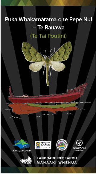 mothNetNZ's tweet photo. We have eight guides for the Macro Moths of the South Island. Four in Te reo Māori @NgaiTahu @TeTumuOtago https://t.co/2VxtkRFvED
