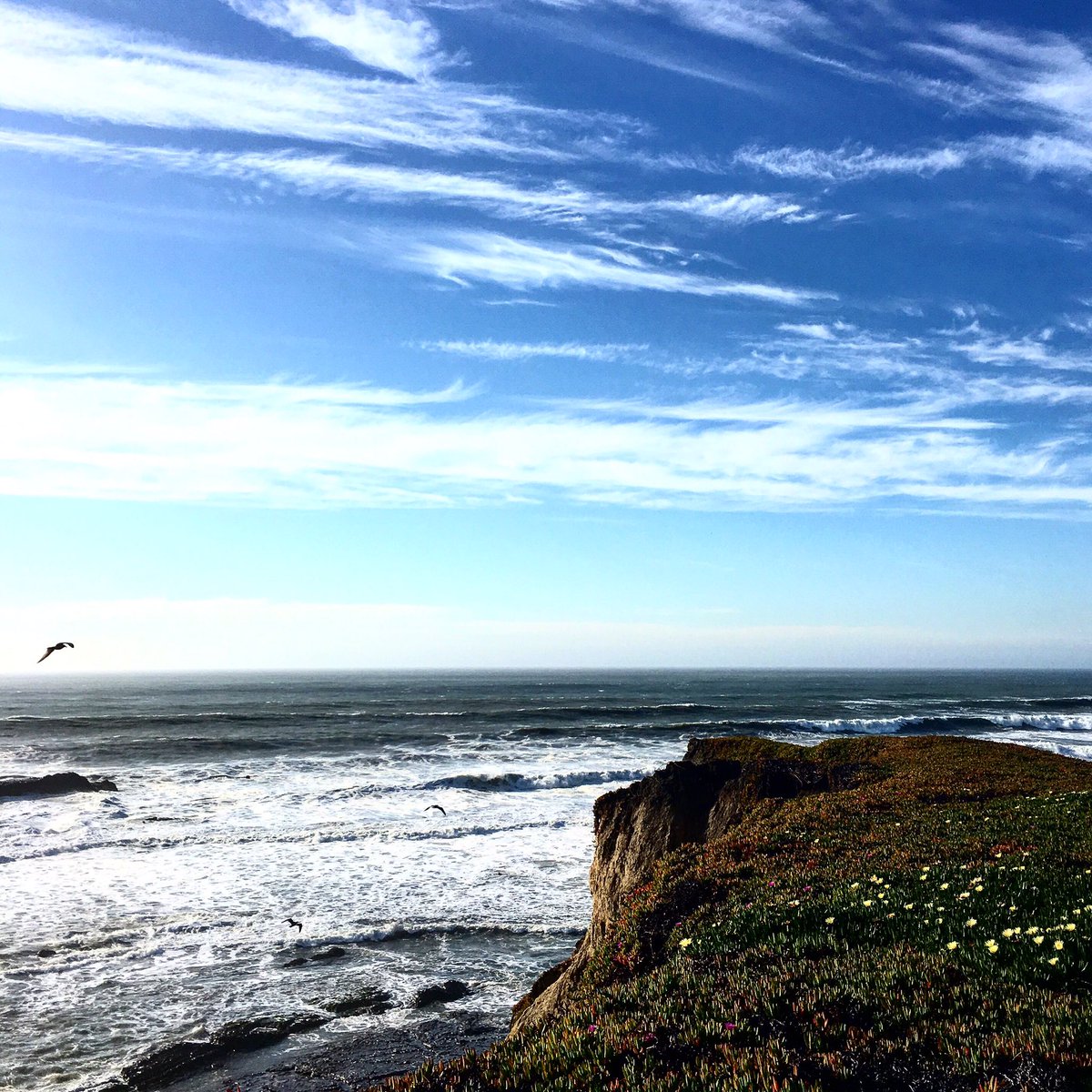 bweddeling's tweet image. Aftershock at #techonomy16 where leaders of the tech world try to figure out how the future of this country might look like #handelsblatt