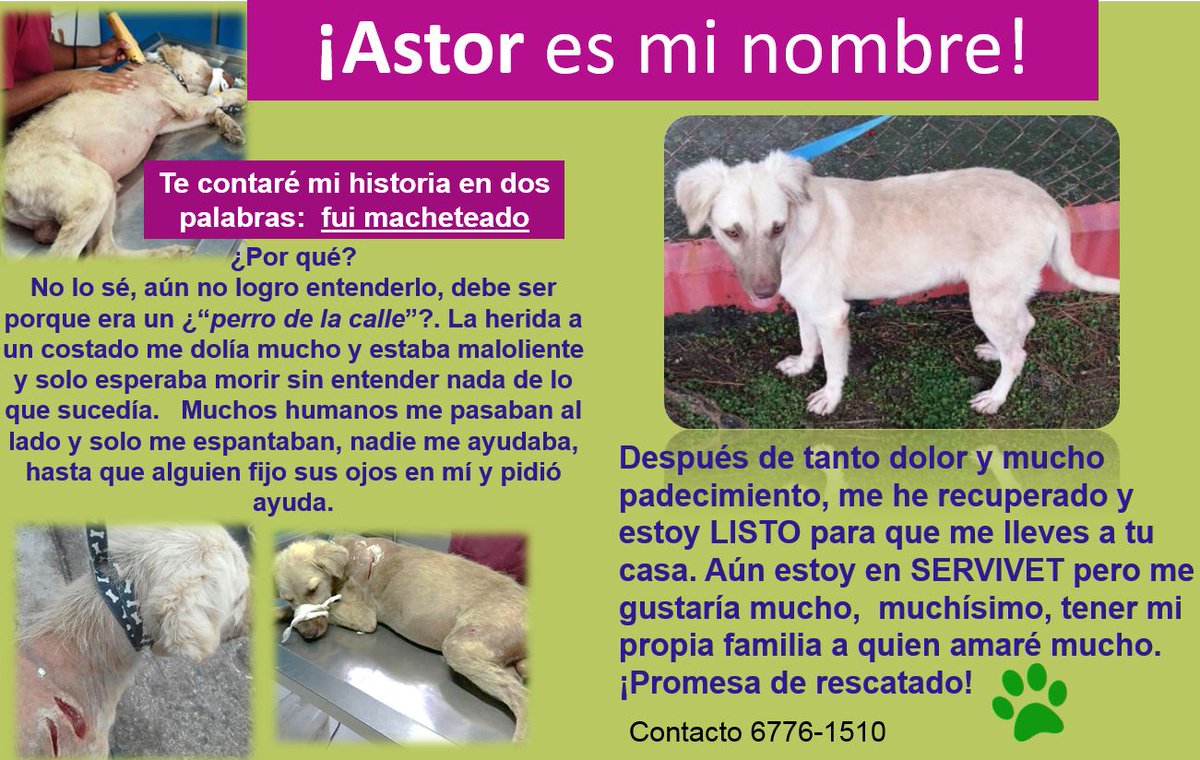 Por favor RT.
