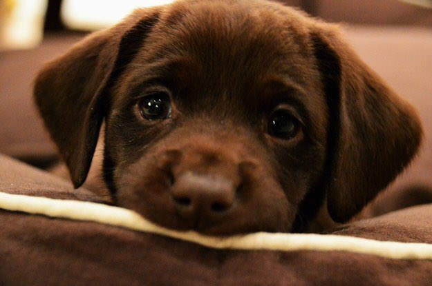 ThomasSanders tweet picture