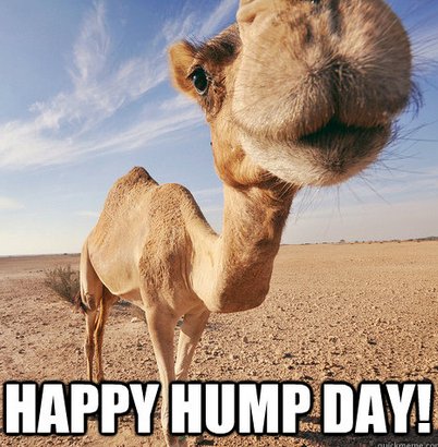 RADARrecording's tweet photo. Happy humpday, friends! Hope you're all having a fantastic week! #RADARrecording #RADARstudio #makemusic https://t.co/8iOu0JDLQw