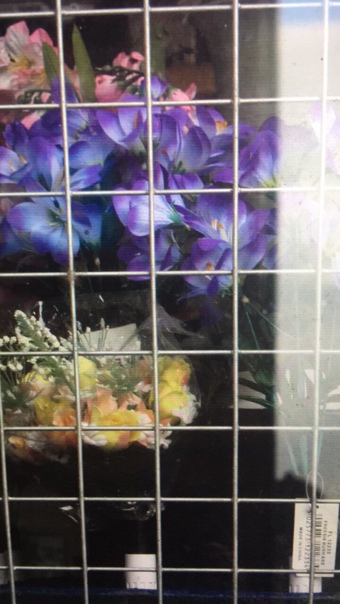 OceanjadeGreen tweet media