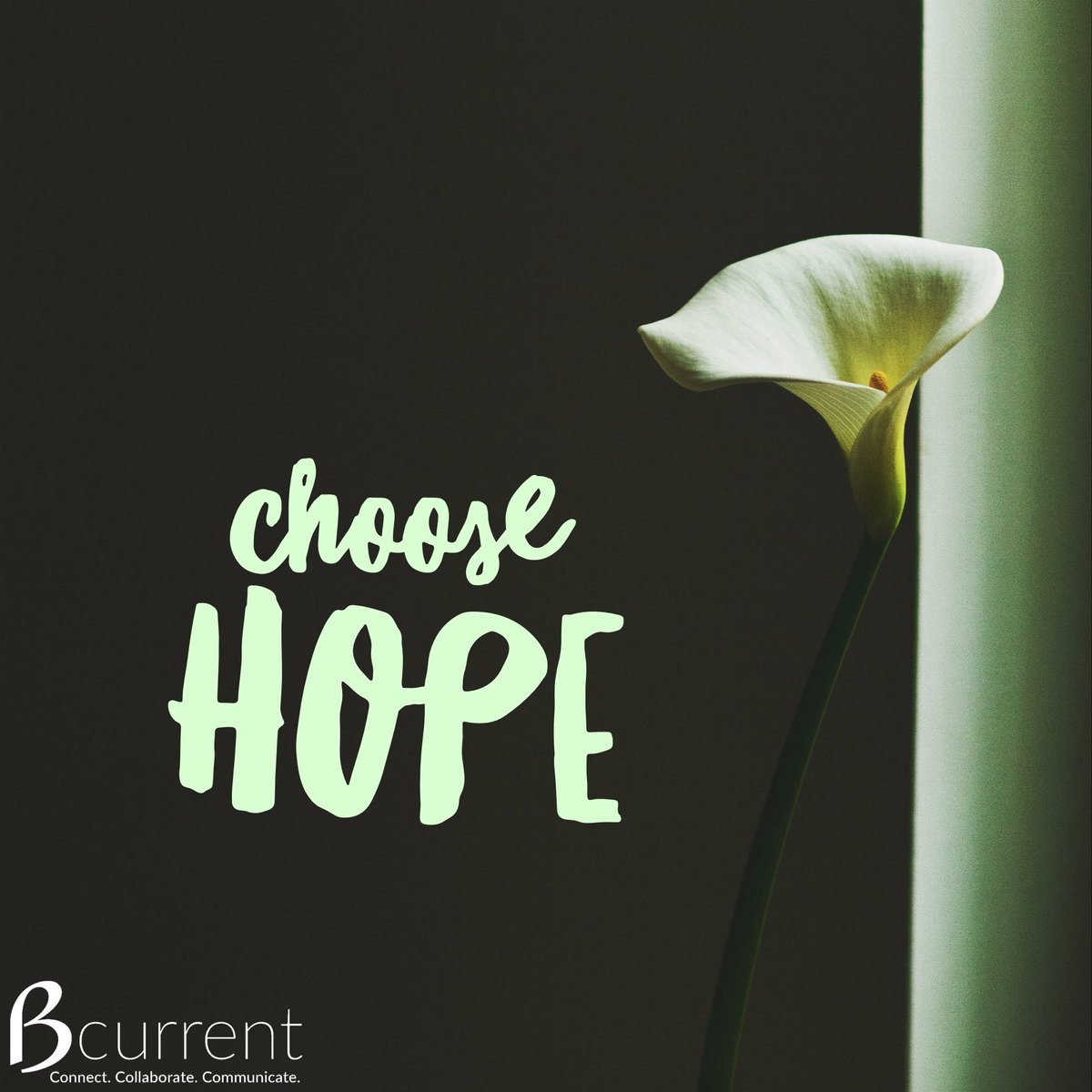 _Bcurrent_'s tweet photo. sending out hugs of love, light and peace
#bcurrent #connectcollaboratecommunicate #choosehope #election2016 https://t.co/0gaZBJDL4c