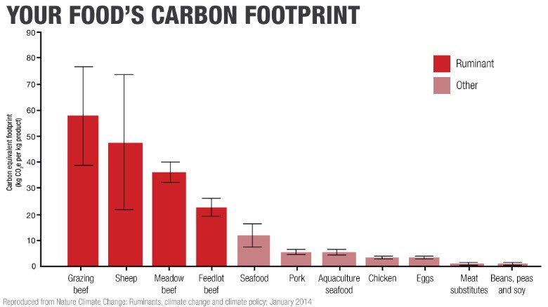 Ever wondered about the carbon footprint of the food you eat? Animal agriculture one of the leading causes of #GlobalWarming!