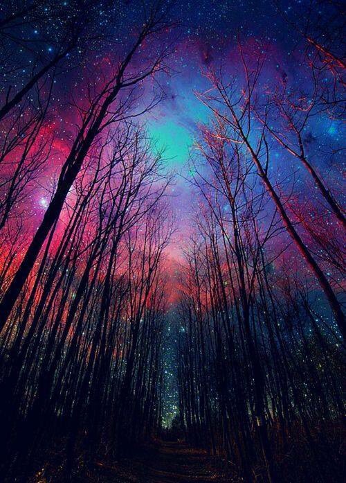 Natalie41661382's tweet photo. How pretty #picture #happy #night ..
So worth a share or retweet ❄️✌🏼️ https://t.co/seTrKvRqcj