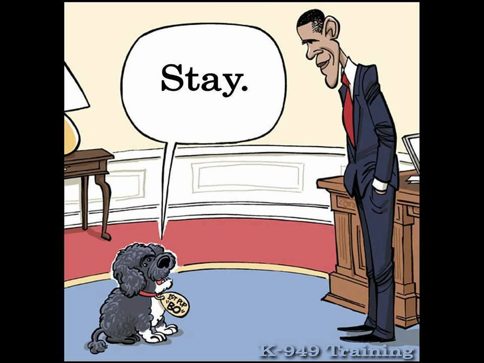 Voltaire tweet media