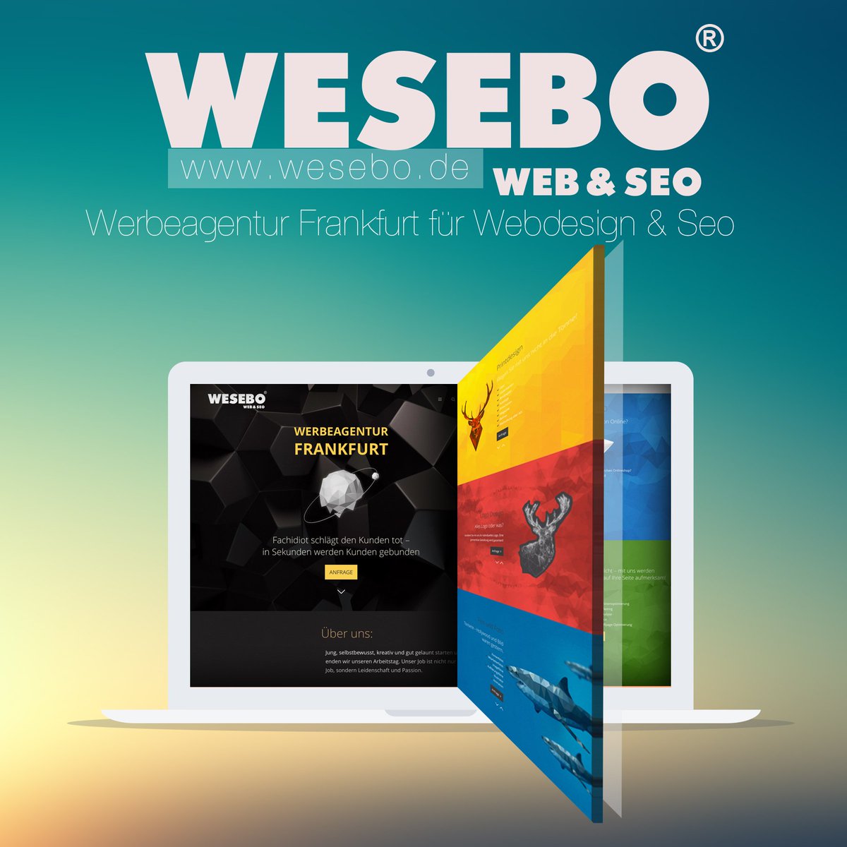 Wesebo.de tweet media