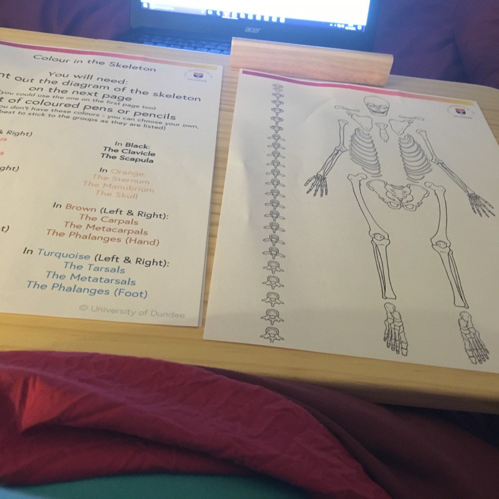 ClaireEESheldon's tweet photo. Colouring in while watching tv! @OUFreeLearning #FLForensicID https://t.co/zrQCb3qEIj