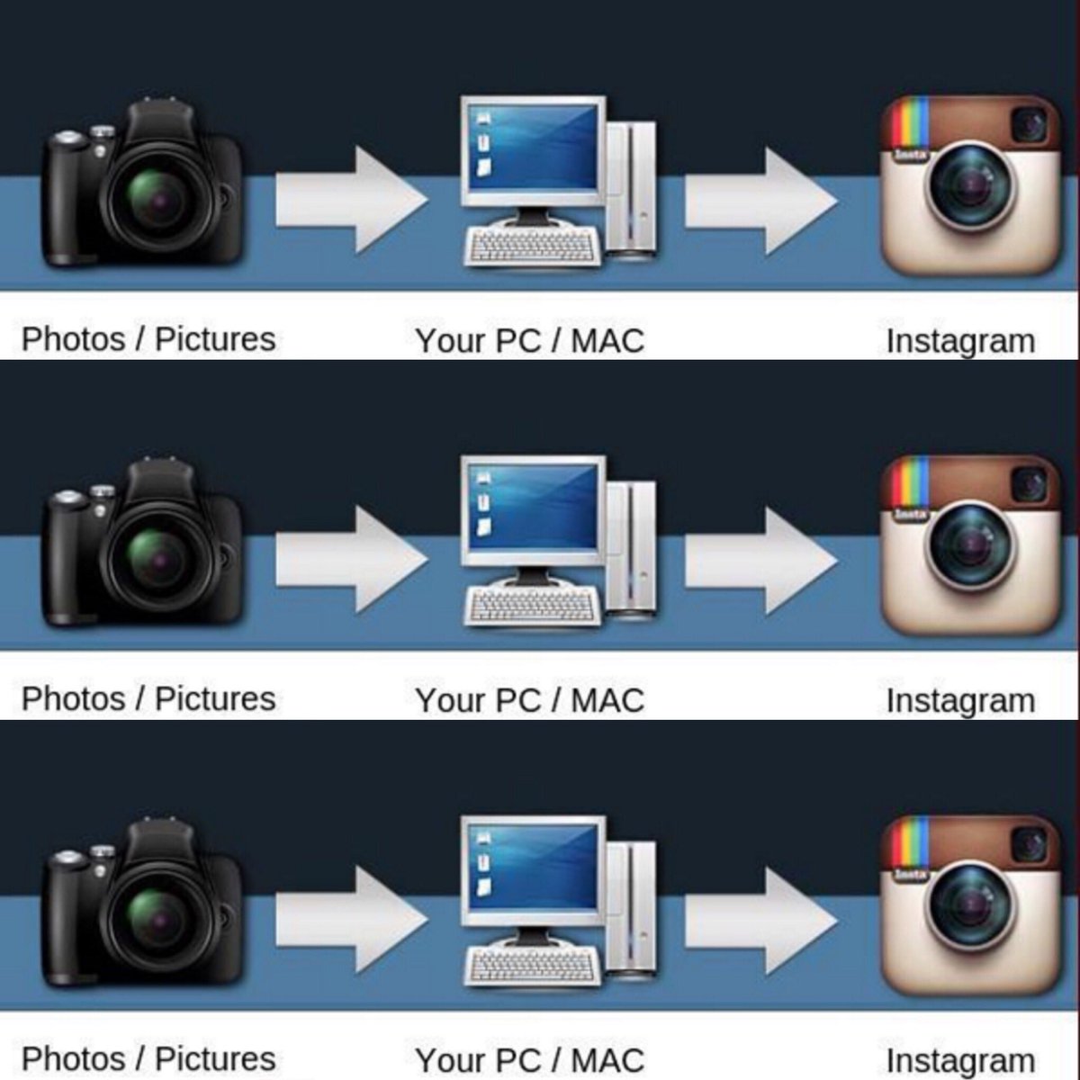 Mypushup tweet media