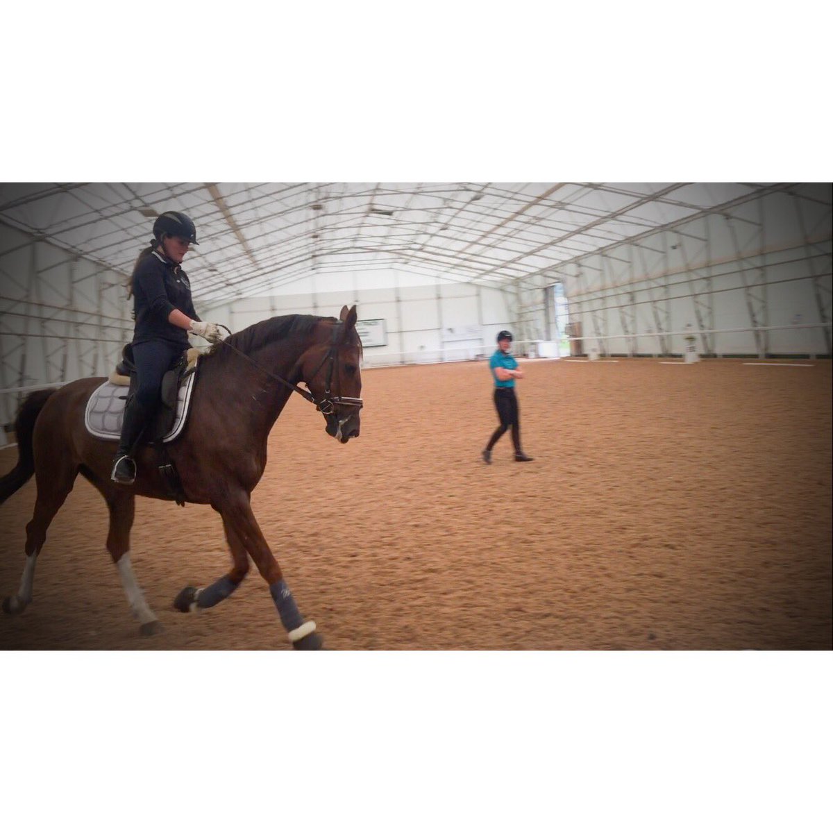 StephanieH_92's tweet photo. Friday can't come sooner,off to @Crow_WoodEq for a lesson with @JessicaDunn21 seems forever since we've had any training! #EquestrianHour https://t.co/OVKP41nbOl