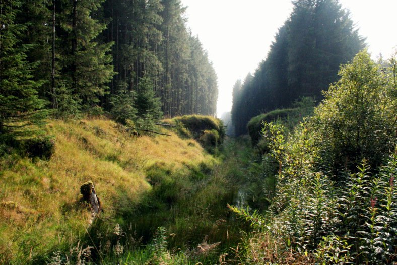 nigreenways's tweet photo. A heady mix of political will & grassroots vision: stunning 1,000km greenway network planned for NI https://t.co/80G7n9PN0v @ChrisHazzardSF https://t.co/3s3FMAcKkm
