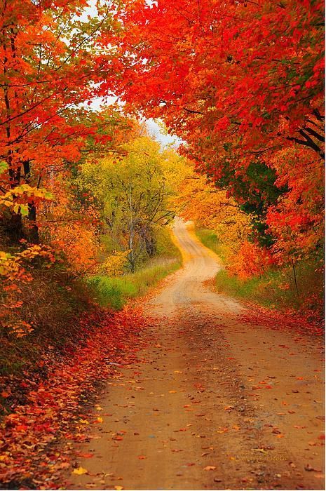 Despite today's rain, we’re #Thankful for the beautiful colors of fall foliage #fallfavorites