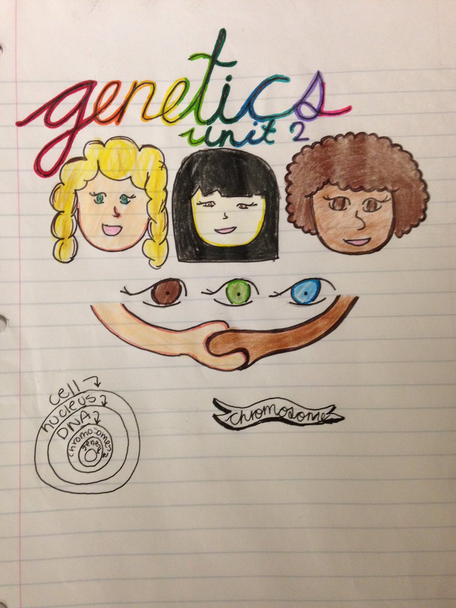 rdavisteaches's tweet photo. Awesome #genetics unit cover page by Fer in #sci8ASFM - #ngsschat #scitlap #ISNchat #InteractiveScienceNotebook https://t.co/VECumrDDqo