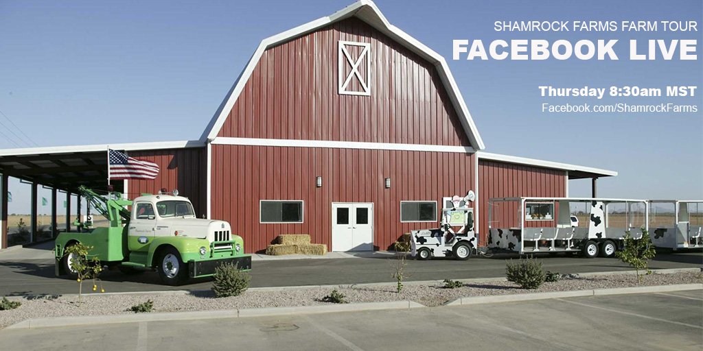 Shamrock Farms (shamrockfarms) Twitter