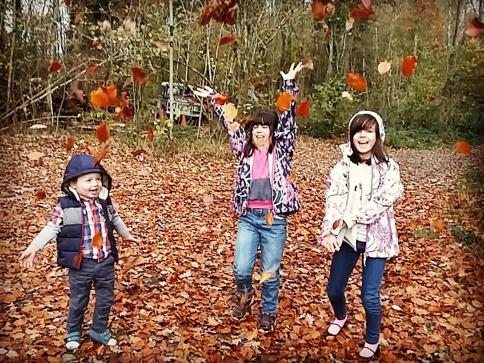 mwmacltd's tweet image. Autumn has arrived at MWMAC HQ! #futureforesters #forestersuk #trainingforprofessionals #autumnleaves