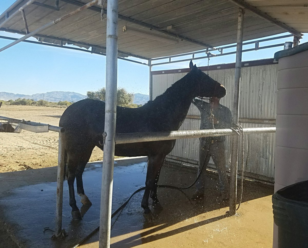 November showers! #SandyValleyRanch  #horses #love