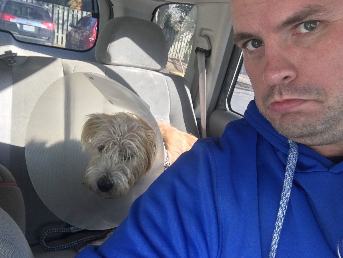CoachAllam's tweet photo. Don't think he's happy with me right now. #ConeOfShame #SorryBaxter https://t.co/rMcq1IGnUr