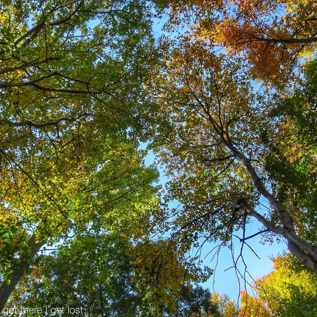 gettheregetlost's tweet image. Look around your neighborhood. There's most definitely a corner you haven't explored. buff.ly/2fuFwLO #staycationtips #vacationtips