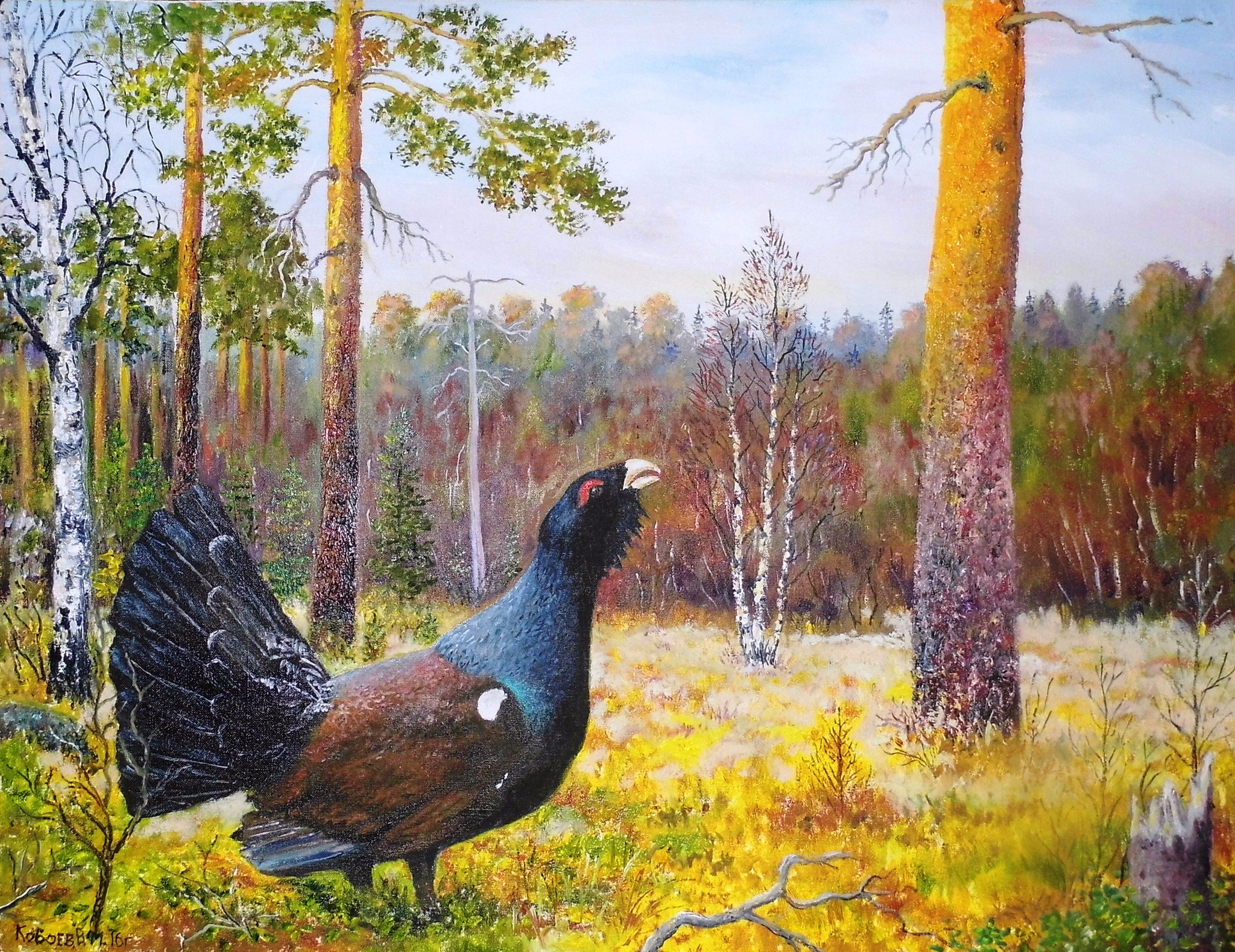 Глухарь открытки