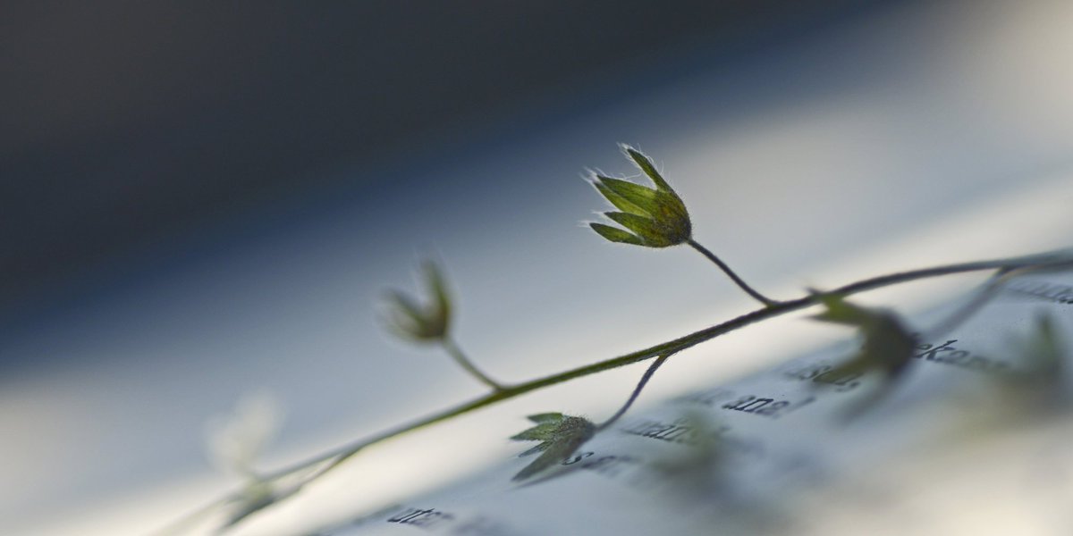 HuffPostArts's tweet photo. 18 compassionate poems to help you weather uncertain times https://t.co/h6VxUiNUJ8 https://t.co/lVy8lBkmO8